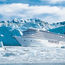 Crystal will sail a series of Alaska cruises next summer