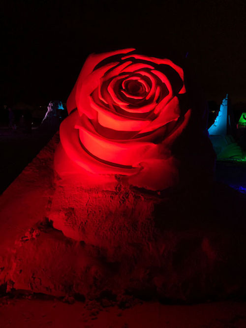 The sand sculptures at the Crystal Classic Sand Sculpting Festival on Siesta Key are illuminated at night. This piece, A Rose Without Thorns, won first prize in the Solo competition.