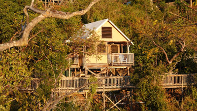 Concordia's units offer views of the sea, beaches, Salt Pond and lightly-trafficked hiking trails near the national park.