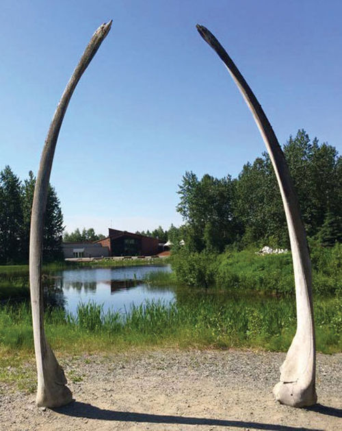 The exterior of the Alaska Native Heritage Center framed by whale bones.