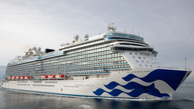Under Carnival Corp.'s corporate restructuring, Princess Cruises is one of six units reporting to CEO Josh Weinstein.