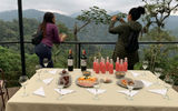 The Life Center Mashpi Lodge offers a perfect setting for bird watching.