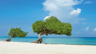 Aruba has changed its entry requirements and has eliminated a testing requirement for visitors who have received a Covid booster.