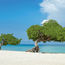 Travel to Aruba: Vaccinated, boosted visitors don't need a Covid test