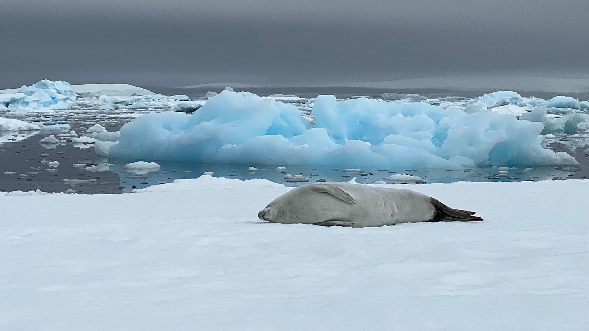 T0214ANTARCTICA2_RS_HR [Credit: Robert Silk]