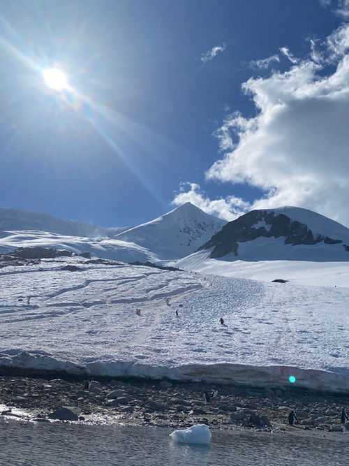 Penguins have carved a network of trails, or highways at the Errera landing site on the Antarctic peninsula. Penguins have carved a network of trails, or highways at the Errera landing site on the Antarctic peninsula.