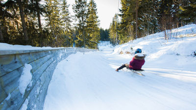The Korketrekkeren toboggan run offers a dose of exhilarating winter fun within Oslo's city limits.