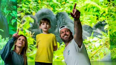 Illuminarium Las Vegas at Area15 will feature Wild: A Safari Experience.