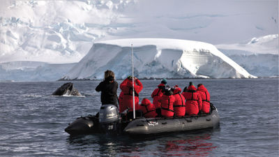 A humpback whale surfaces in front of a Zodiac with Silver Explorer passengers just off Davis Island.
