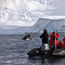 Intimate Antarctic sailing on Silver Explorer