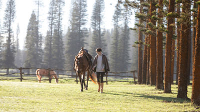 Sensei Lanai, A Four Seasons Resort is hosting the Unbridled Retreat in July with equine gestalt coach Devon Combs.