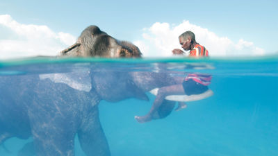 Rajan the Asian elephant shares a moment with Nazroo, his driver, in the ocean off the Andaman Islands, one of the images in “Rarely Seen,” an exhibit organized and traveled by the National Geographic Society.