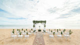Travelmation, the Fort Lauderdale-based host agency that sits at No. 59 on Travel Weekly's Power List, has introduced a destination wedding certification program for its travel advisors.