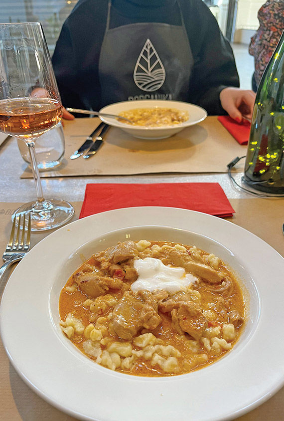 Chicken paprikash, a traditional Hungarian dish, prepared during a cooking class at the sustainability-focused Borganika Studio.