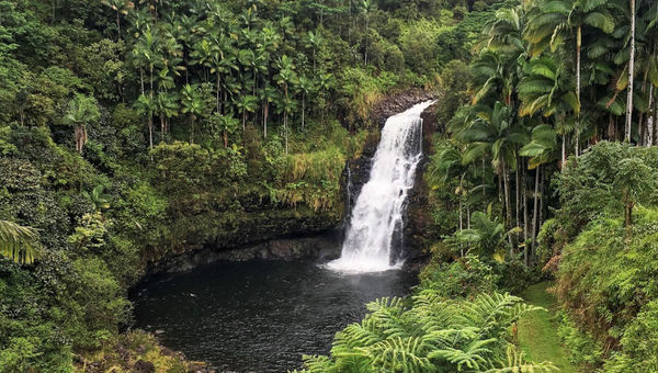 The Inn at Kulaniapia Falls offers scenic views of an accessible waterfall on the Island of Hawaii.