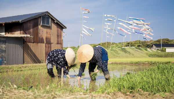 Sado Island is part of an Abercrombie & Kent tour in Japan.