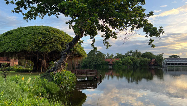 Suan Sampran, a third-generation family business, has found a new life as an organic and wellness retreat. Suan Sampran, a third-generation family business, has found a new life as an organic and wellness retreat.