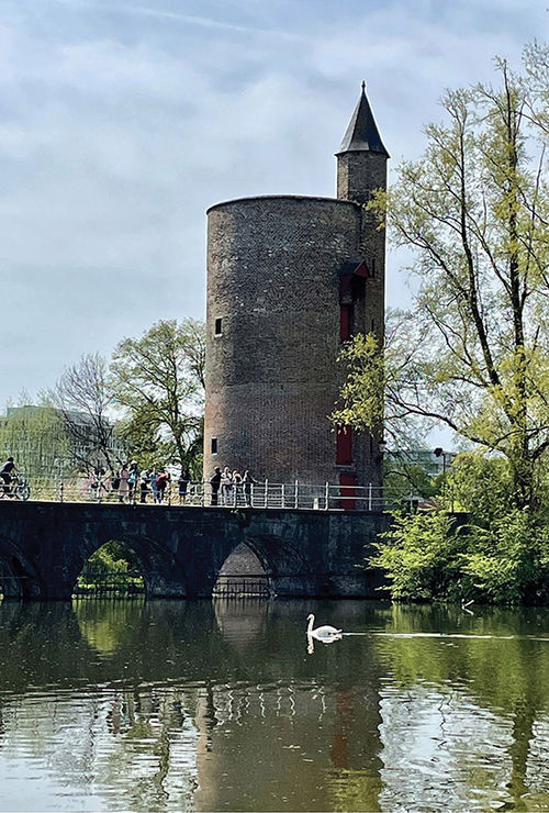 A swan in Minnewater Lake paddles in the shadow of Gunpowder Tower. A swan in Minnewater Lake paddles in the shadow of Gunpowder Tower.