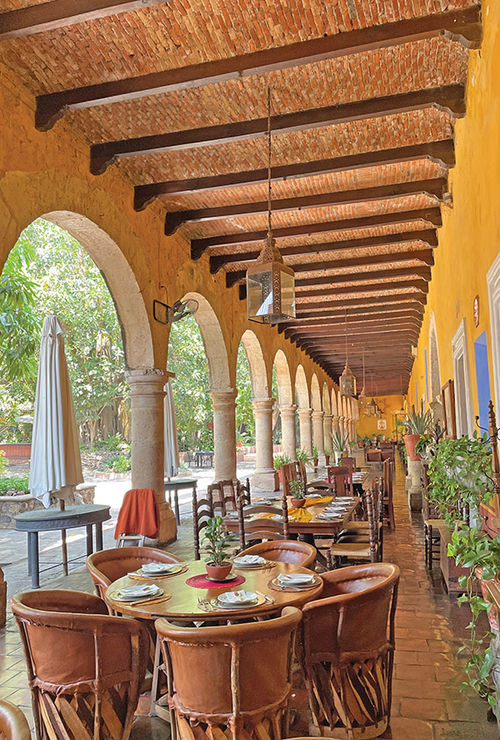 The restaurant at Hacienda El Carmen has views of a leafy courtyard.