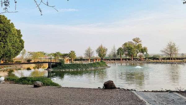 Behind the spa, the property has a beautiful pond. Behind the spa, the property has a beautiful pond.