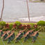 Four Seasons Resort Maui offers a rare hula experience