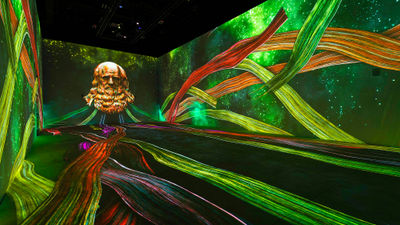 "Leonardo: The Universal Man" is the first installation at Perception Las Vegas.