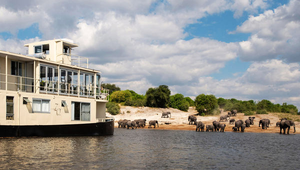 The Zambezi Queen Collection includes three Chobe Princess ships. They can accommodate up to 10 passengers and can be booked for exclusive use.