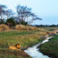 What a new currency policy in Zambia would mean for tourists
