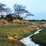 Zambia's Kafue National Park steps up its tourism game