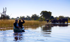 The Okavango Explorers Camp offers a 1920s-style safari experience, including elephant-spotting canoe trips along the Selinda Spillway.