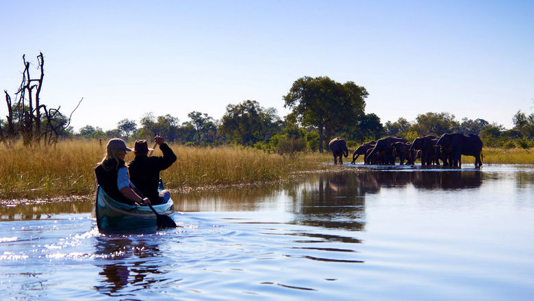 The Okavango Explorers Camp offers a 1920s-style safari experience, including elephant-spotting canoe trips along the Selinda Spillway.