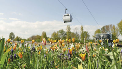 The Gondola Park at the Floriade Horticulture Expo, which takes place every 10 years in the Netherlands.