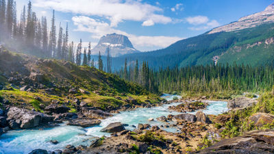 Glacier National Park, Montana. Collette is launching a new 11-day Montana: Exploring the Big Sky Country tour that will include two days in Yellowstone National Park and an overnight stay at St. Mary’s Lodge near Glacier National Park.