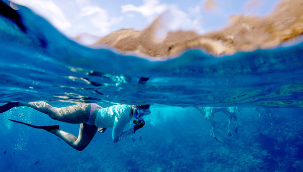 A snorkeler on the Maui Nui Wild Side Lahaina tour with PacWhale Eco-Adventures.