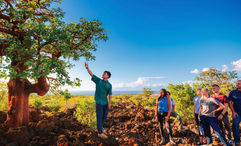 Hawaii Forest and Trail has added a giveback portion to its Mauna Kea tour that takes visitors to learn about the Waikoloa Dry Forest.
