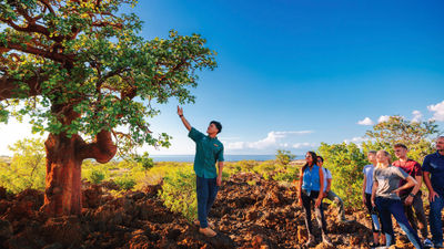 Hawaii Forest and Trail has added a giveback portion to its Mauna Kea tour that takes visitors to learn about the Waikoloa Dry Forest.