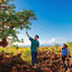 Say hello to new experiences in the Aloha State