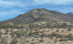Desert landscape in Baja California.