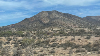 Desert landscape in Baja California.
