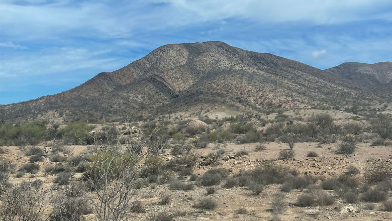 Desert landscape in Baja California.