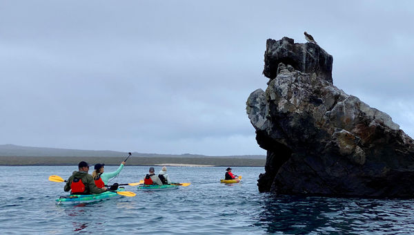 A kayaking excursion in the Galapagos.