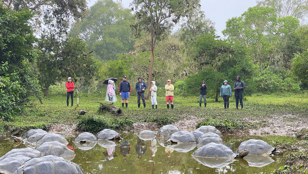 Lindblad guests visit the giant tortoises in their natural habitat in the highlands of Santa Cruz Island.