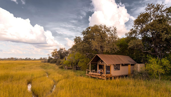 The trip concludes with two nights at Little Sable, which is located in Khwai Private Reserve.