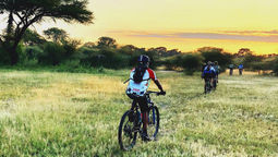 Natural Selection launched guided cycling safaris through Botswana's Okavango Delta.