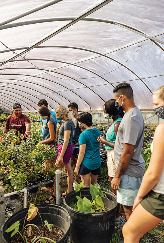 Rick Barboza of Papahana Kuaola guides volunteers with at Hui Ku Maoli Ola, a native plant nursery on the Big Island of Hawaii.