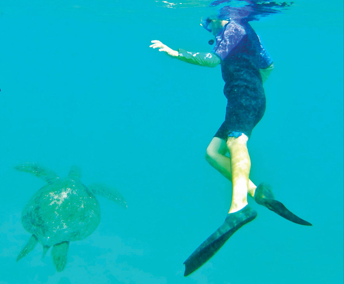 The author's son spots a sea turtle while snorkeling in the Galapagos.