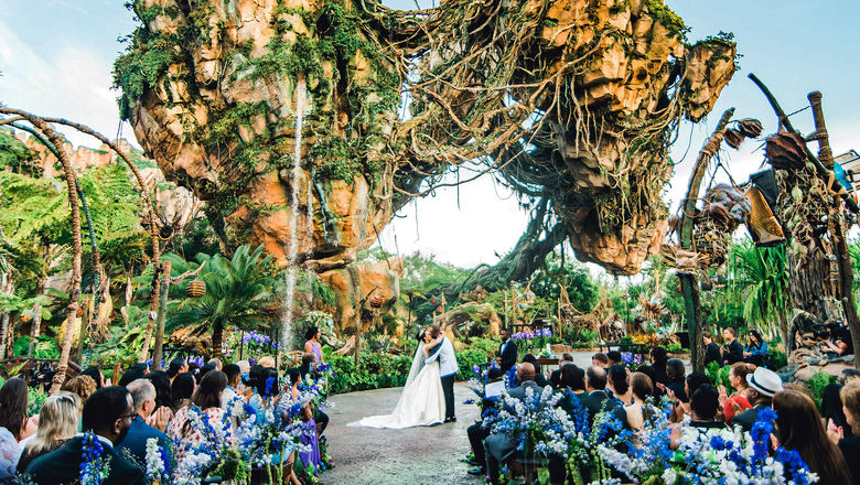 A wedding held at Pandora: The World of Avatar at Disney's Animal Kingdom in Florida.