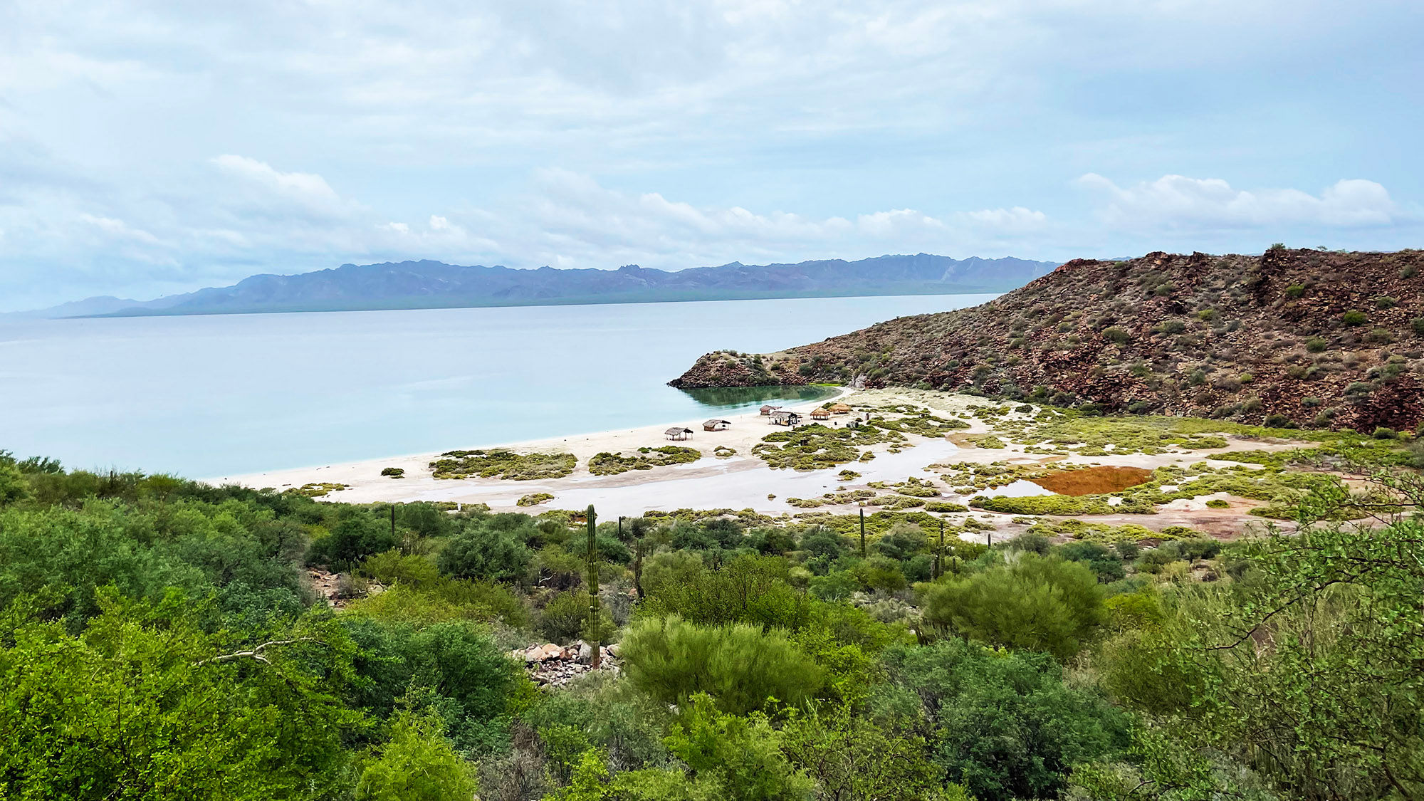 Mulege is a blast of green on the edge of Bahia Concepcion in Baja California Sur.