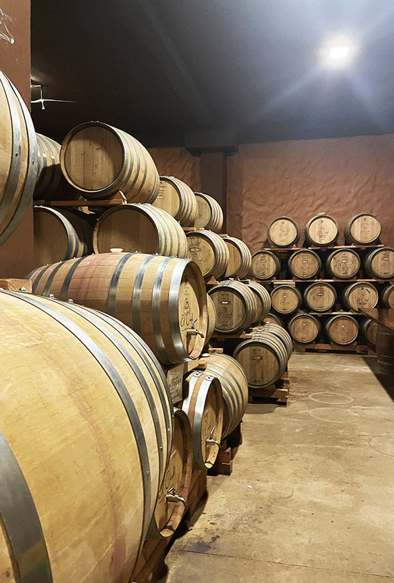 The cellar at El Cielo is an ideal place to enjoy a tasting of their prize-winning wines.