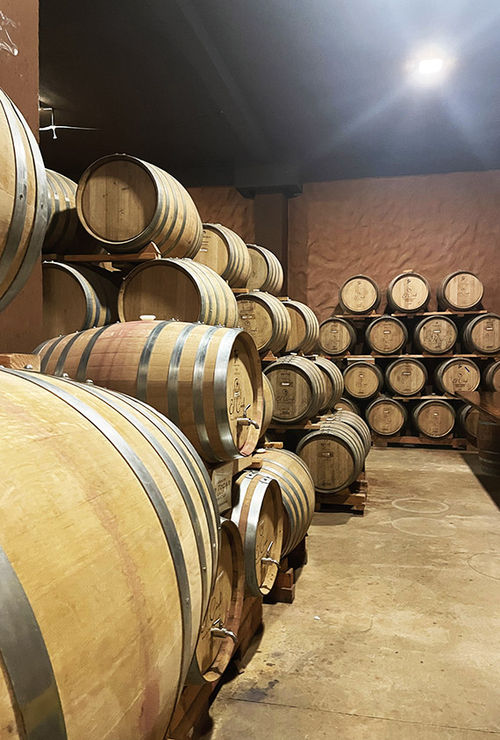 The cellar at El Cielo is an ideal place to enjoy a tasting of their prize-winning wines. The cellar at El Cielo is an ideal place to enjoy a tasting of their prize-winning wines.